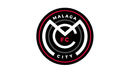 FC Málaga City logo